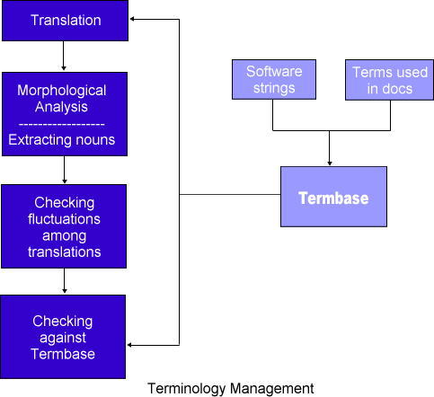 Terminology Management